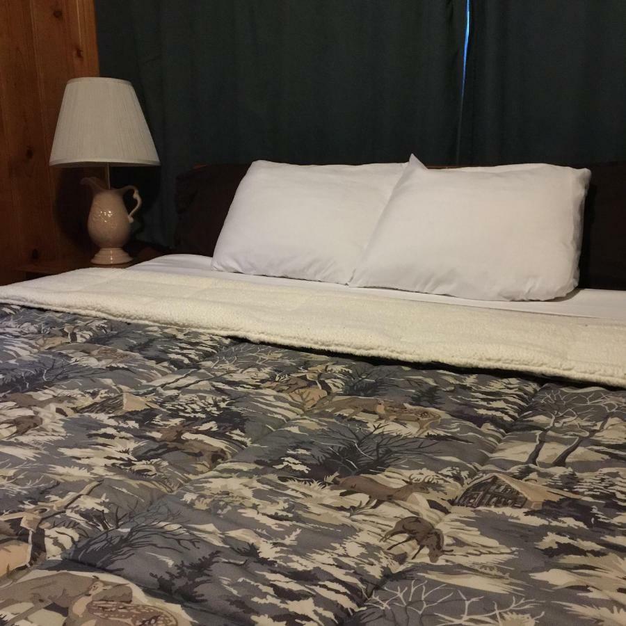 Timber Haven Lodge Lac Big Bear Extérieur photo